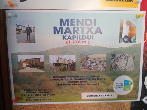 MENDI MARTXA 