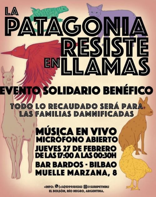 LA PATAGONIA RESISTE EN LLAMAS